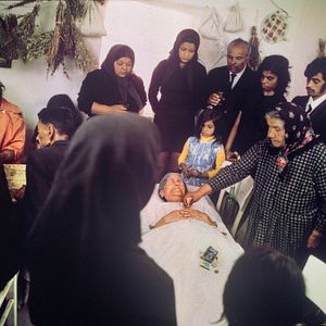 Bilder Rosige Träume