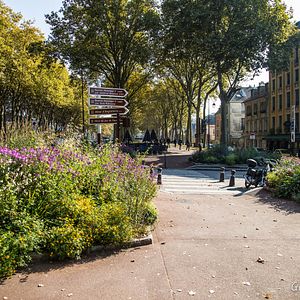 Bilder Zéro Phyto 100% Bio