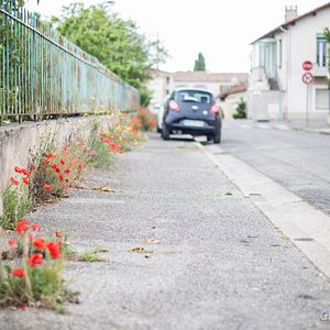 Bilder Zéro Phyto 100% Bio