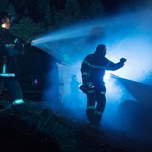 Bilder Samir Boitard