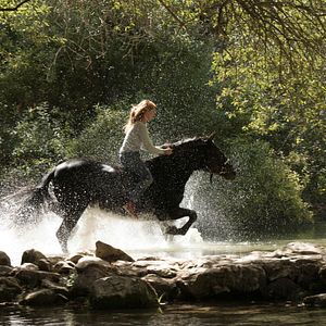 Bilder Ostwind 3 - Aufbruch nach Ora