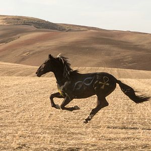 Bilder Ostwind 3 - Aufbruch nach Ora