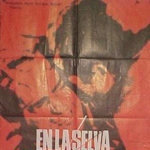 Bilder En la selva no hay estrellas