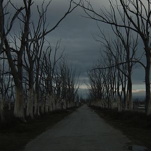 Bilder Cidades Fantasmas