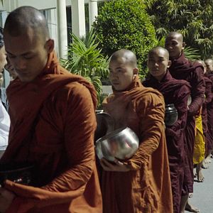 Bilder Le Vénérable W.