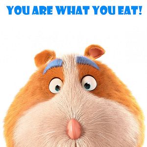 Bilder Ein tierischer Zirkus