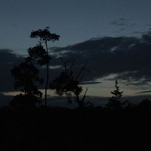 Bilder Rencontres en Guyane