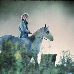 Bilder Fliehende Pferde