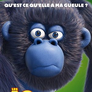 Bilder Die Dschungelhelden - Das große Kinoabenteuer