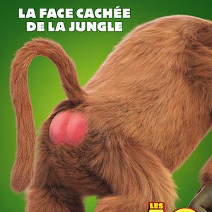 Bilder Die Dschungelhelden - Das große Kinoabenteuer