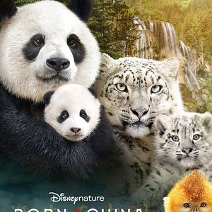 Bilder Born In China