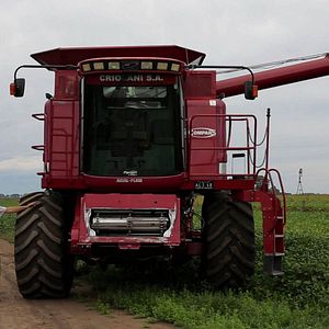 Bilder Histoires de la plaine