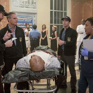 Bilder Navy CIS: New Orleans