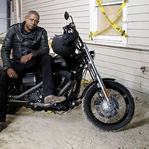 Bilder Criminal Minds: Team Red