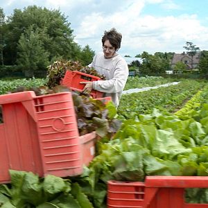 Bilder Das Gegenteil von Grau