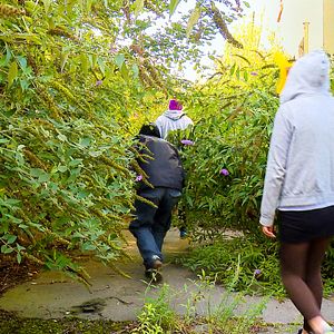 Bilder Das Gegenteil von Grau