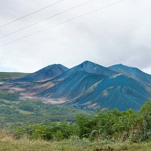 Bilder Aberfan: The Green Hollow