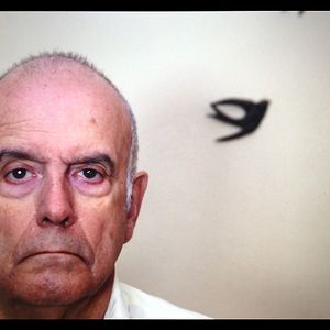 Bilder La película de nuestra vida