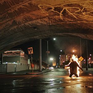 Bilder Pet - Wenn du etwas liebst, lass es nicht los