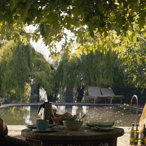 Bilder Antonia Zegers