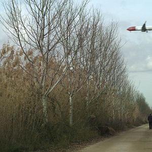 Bilder Los desheredados