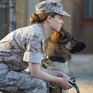 Bilder Sergeant Rex - Nicht ohne meinen Hund