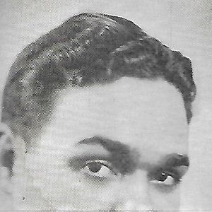 Bilder Ziegfelds himmlische Träume