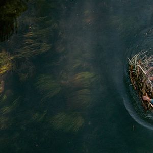 Bilder On The Milky Road