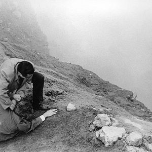 Bilder Die Bösen schlafen gut