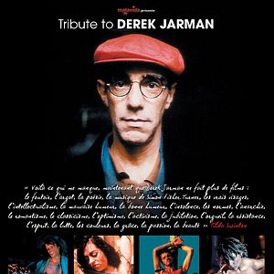 Bilder Rétrospective Derek Jarman