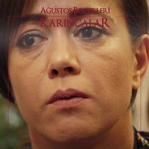 Bilder Ağustos Böcekleri ve Karıncalar