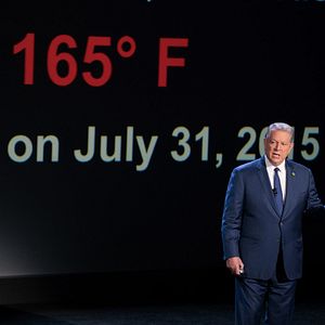Bilder Al Gore