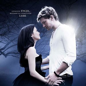 Bilder Fallen - Engelsnacht