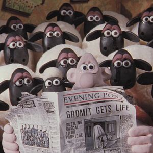 Bilder Wallace & Gromit unter Schafen