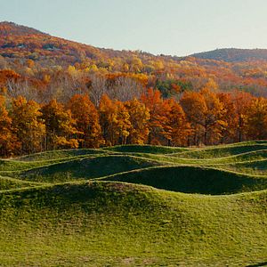 Bilder Master Of None