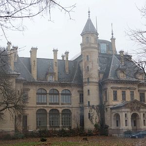 Bilder Fallen - Engelsnacht