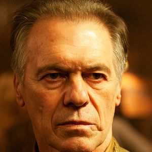 Bilder Miguel Angel Sola