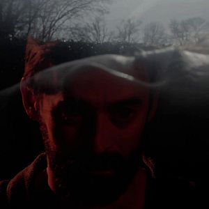 Bilder Venus Obscura