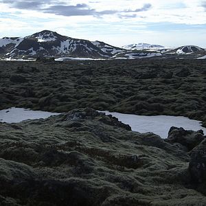 Bilder Fairness - Zum Verständnis von Gerechtigkeit