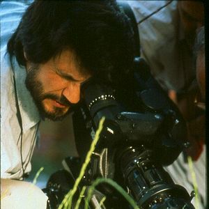 Bilder Die Vergänglichkeit des Lichts