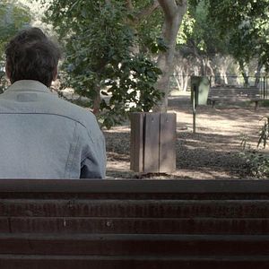 Bilder Ben Mamschich