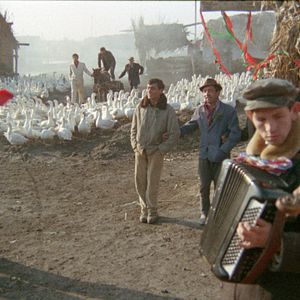 Bilder Ich traf sogar glückliche Zigeuner