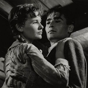 Bilder Mari Töröcsik