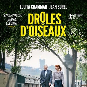 Bilder Drôles d'oiseaux