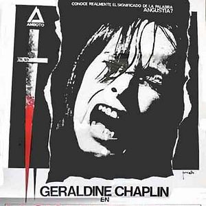 Bilder La casa sin fronteras