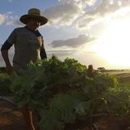 Bilder Fonte da Juventude