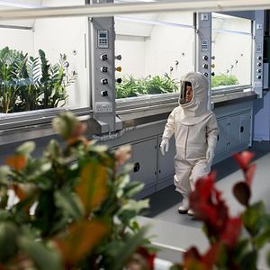 Bilder Doctor Who (2005)