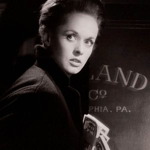Bilder Tippi Hedren