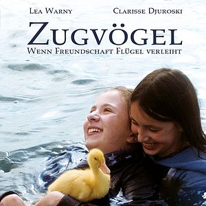 Bilder Zugvögel - Wenn Freundschaft Flügel verleiht