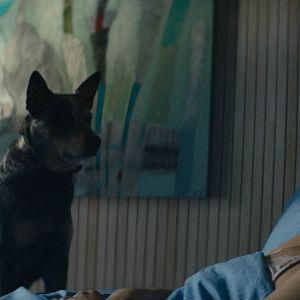 Bilder Antonia Zegers